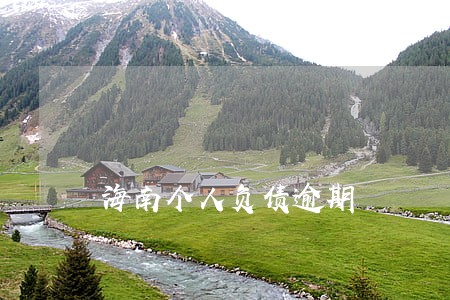海南个人负债逾期 海南个人负债逾期