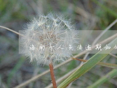 海南个人负债逾期如何规划还款 海南个人负债逾期如何规划还款