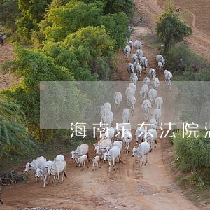 海南乐东法院温情执行 海南乐东法院温情执行