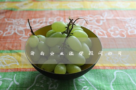 海南企业法律顾问公司 海南企业法律顾问公司