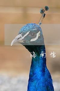 海南信用卡逾期三年了能协商吗 海南信用卡逾期三年了能协商吗