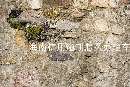 海南信用逾期怎么办理车贷 海南信用逾期怎么办理车贷