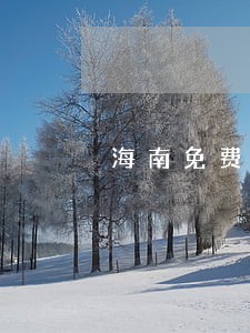 海南免费律师 海南免费律师