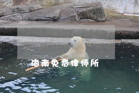 海南免费律师所 海南免费律师所