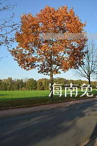 海南免费法律咨询电话 海南免费法律咨询电话