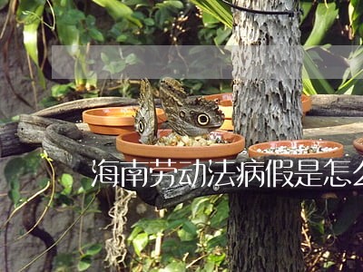 海南劳动法病假是怎么扣工资的 海南劳动法病假是怎么扣工资的