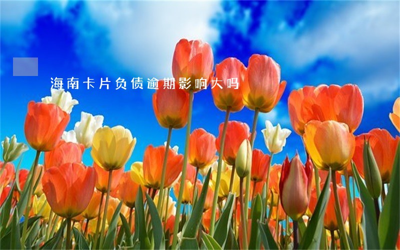 海南卡片负债逾期影响大吗 海南卡片负债逾期影响大吗