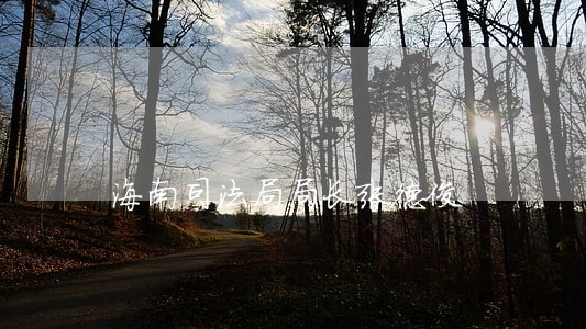 海南司法局局长张德俊 海南司法局局长张德俊