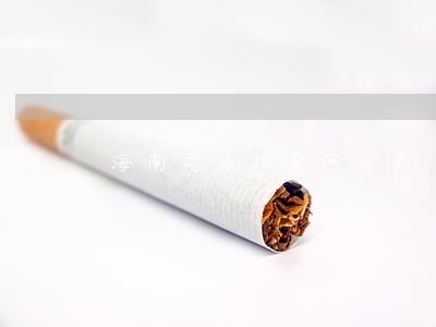 海南司法拍卖网房产 海南司法拍卖网房产