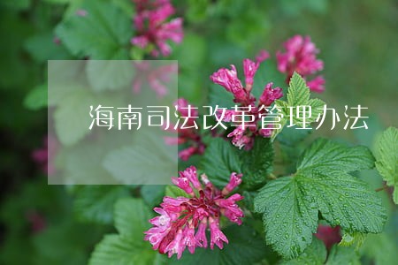 海南司法改革管理办法 海南司法改革管理办法