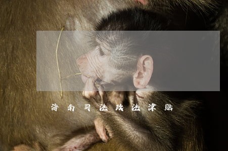 海南司法政法津贴 海南司法政法津贴
