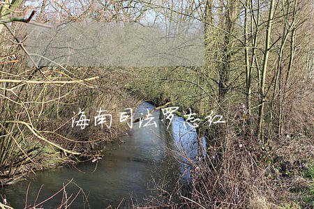 海南司法罗志红