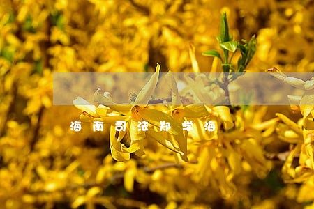 海南司法郑学海 海南司法郑学海