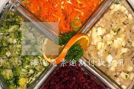 海南商票逾期付款费用 海南商票逾期付款费用