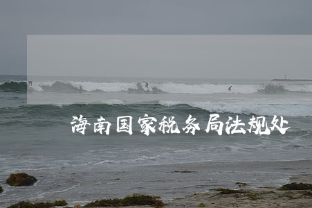 海南国家税务局法规处 海南国家税务局法规处