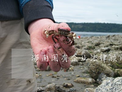海南国有企业法律顾问 海南国有企业法律顾问