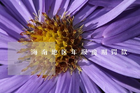 海南地区年报逾期罚款 海南地区年报逾期罚款