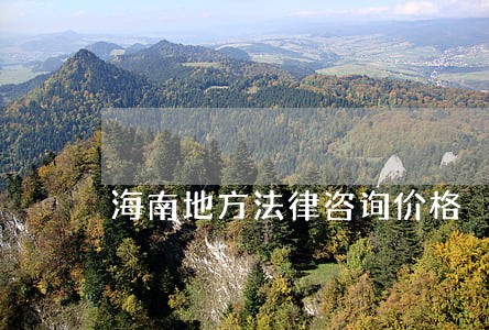 海南地方法律咨询价格 海南地方法律咨询价格