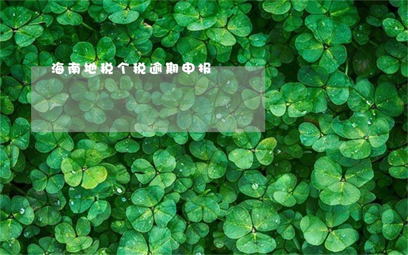 海南地税个税逾期申报 海南地税个税逾期申报
