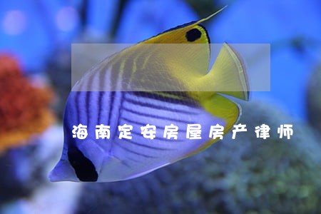 海南定安房屋房产律师 海南定安房屋房产律师