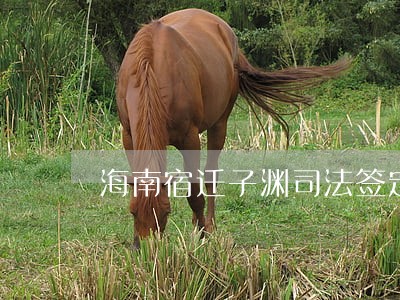 海南宿迁子渊司法签定所 海南宿迁子渊司法签定所
