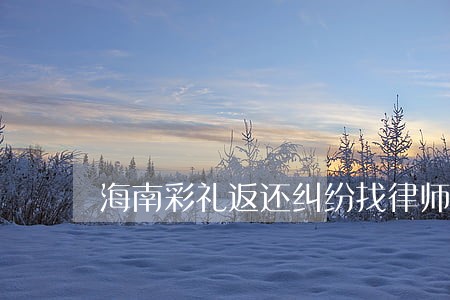 海南彩礼返还纠纷找律师