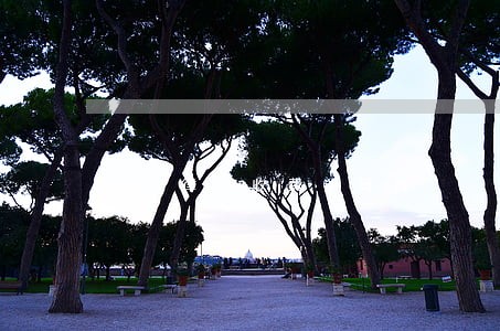 海南律师收费计算器 海南律师收费计算器