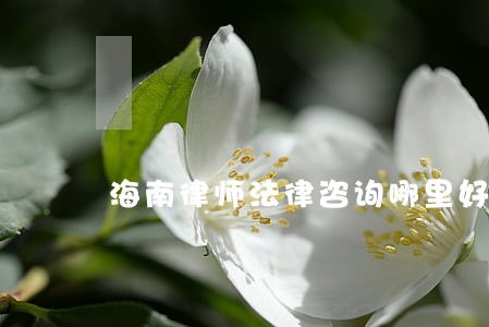 海南律师法律咨询哪里好 海南律师法律咨询哪里好