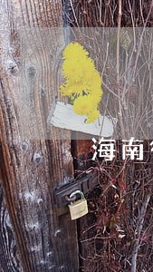 海南律师诉讼平台登录入口 海南律师诉讼平台登录入口