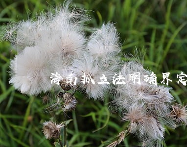 海南拟立法明确界定违法建筑范畴 海南拟立法明确界定违法建筑范畴