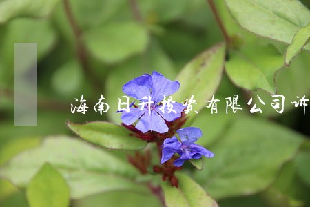 海南日升投资有限公司诉讼 海南日升投资有限公司诉讼