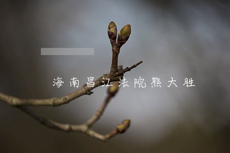 海南昌江法院熊大胜 海南昌江法院熊大胜