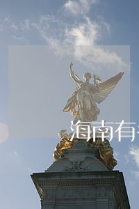 海南有名的离婚律师 海南有名的离婚律师