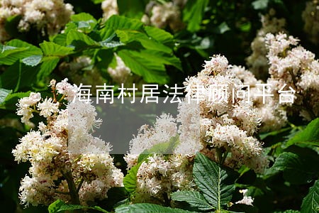 海南村居法律顾问平台 海南村居法律顾问平台
