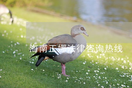 海南正娜法律咨询热线 海南正娜法律咨询热线