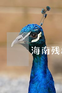 海南残疾人法律援助中心 海南残疾人法律援助中心