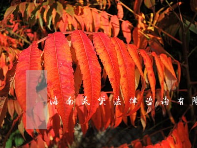 海南民贷法律咨询有限公司