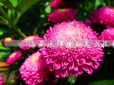 海南法律援助怎么收费 海南法律援助怎么收费