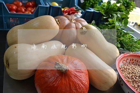海南法规影响 海南法规影响