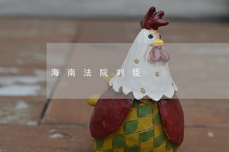 海南法院刘臣