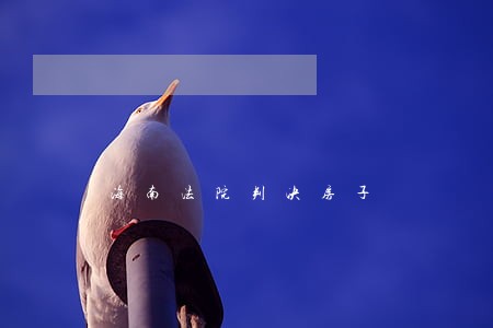 海南法院判决房子 海南法院判决房子