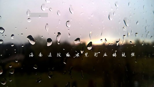 海南法院张家慧打麻将视频 海南法院张家慧打麻将视频