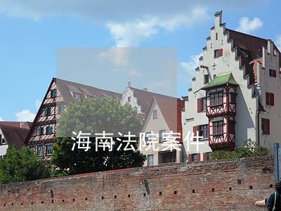 海南法院案件 海南法院案件