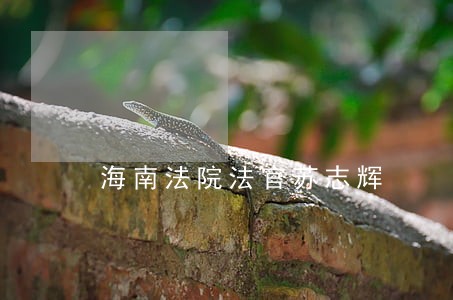 海南法院法官苏志辉 海南法院法官苏志辉