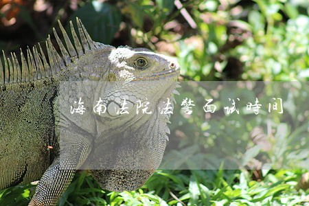 海南法院法警面试时间