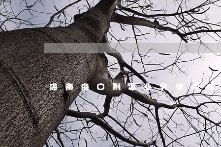 海南海口刑事业务律师收费 海南海口刑事业务律师收费