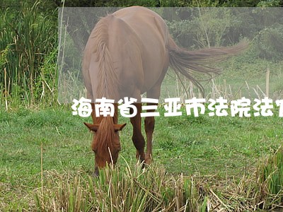 海南省三亚市法院法官 海南省三亚市法院法官