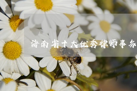 海南省十大优秀律师事务所 海南省十大优秀律师事务所