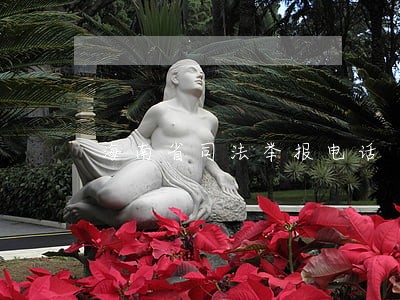 海南省司法举报电话 海南省司法举报电话