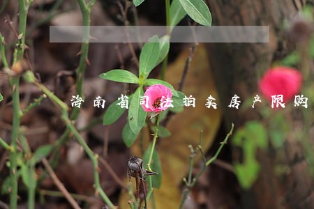 海南省司法拍卖房产限购吗 海南省司法拍卖房产限购吗